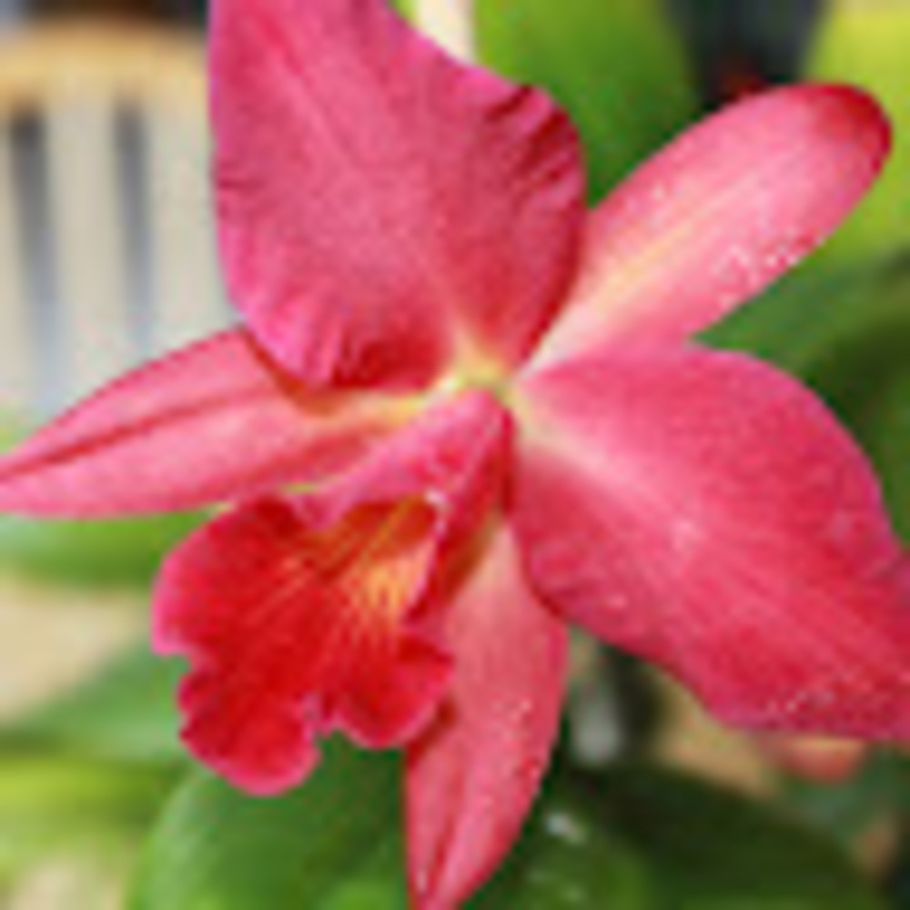 Meet your Posher, Sandra